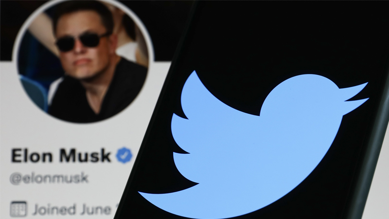 Twitter Caves Under Shareholder Pressure, Begins Deal Negotiations With Elon Musk