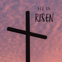 Videos – Ccoutreachministries