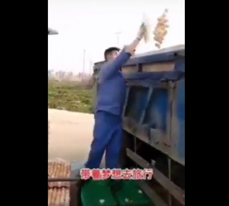 China is deliberately destroying huge amounts of food to cause famine – World-Signals News
