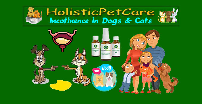 #1 Natural Medicine for Urinary Incontinence in Dogs -, Cats
