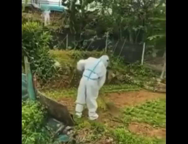 In China, the authorities are destroying crops on private farms, quarantining people in coffin boxes – World-Signals News