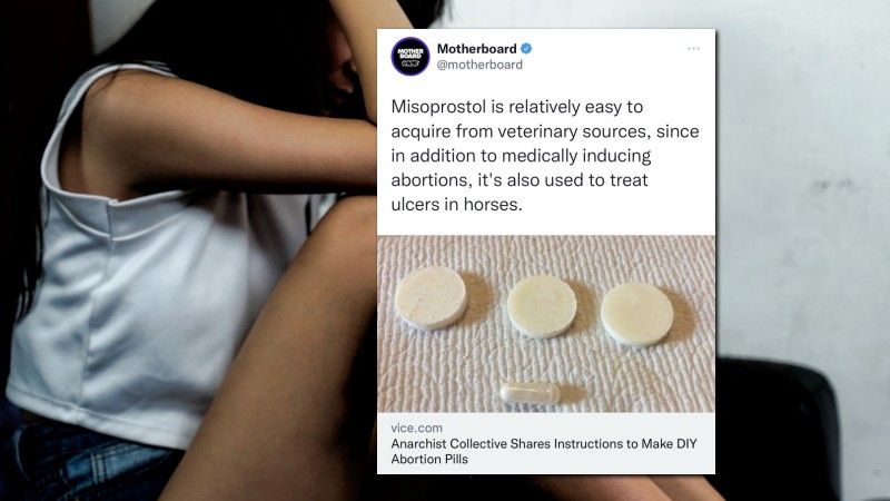 Leftist News Outlet Advocates Using Horse Medication For “Do It Yourself” Abortions