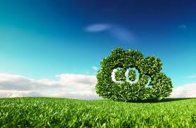 WEF prepares a personalized tracker for carbon footprints – World-Signals News