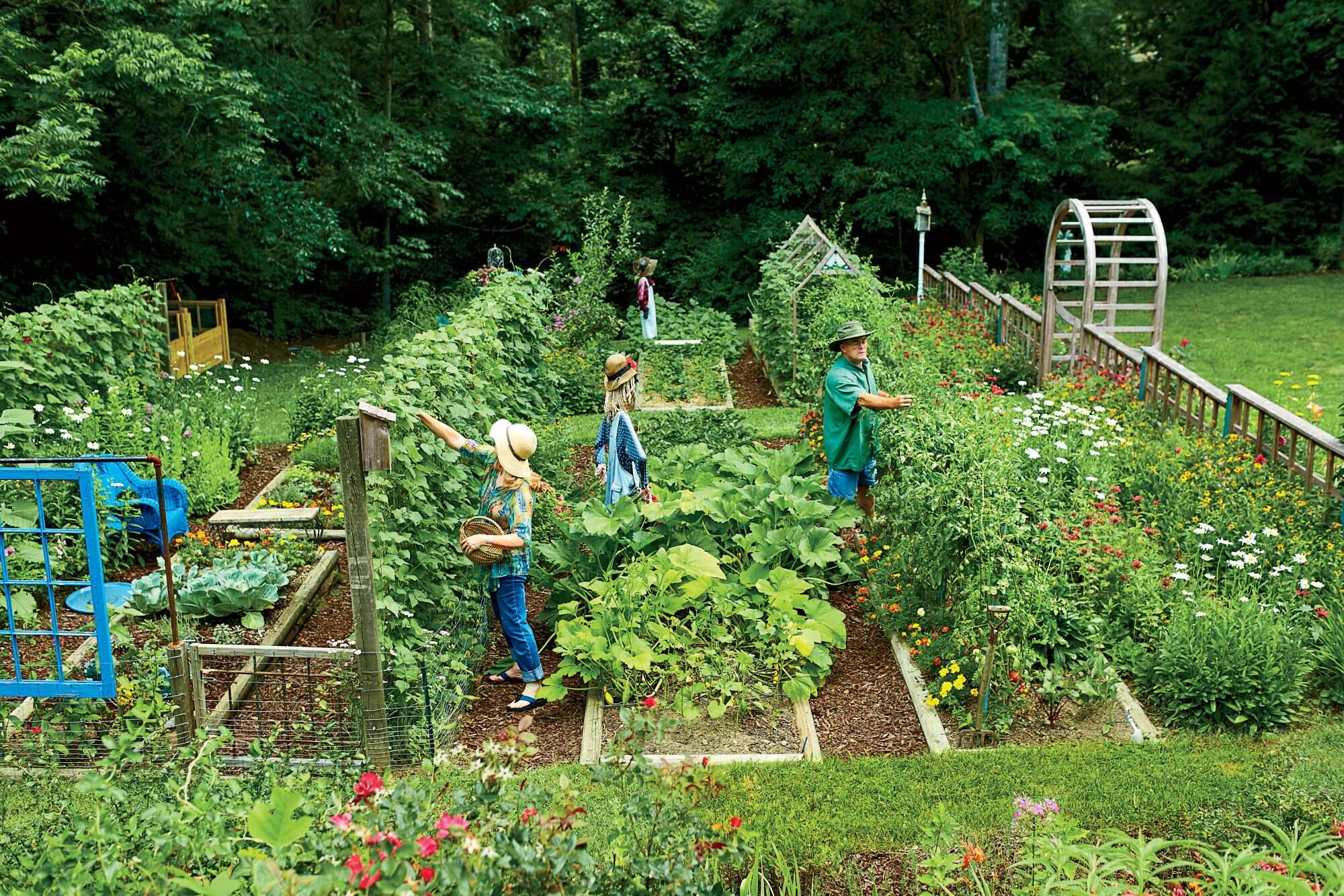 Authorities have passed a law banning the cultivation of their own food and large fines for violators – World-Signals News
