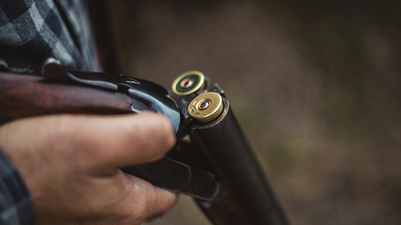 Armed Home Invaders Killed by Resident With Shotgun – Police – NewsWars