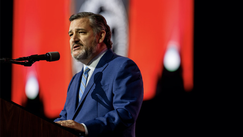 Video: Unhinged Liberal Accosts Ted Cruz in Restaurant For Attending NRA Conference