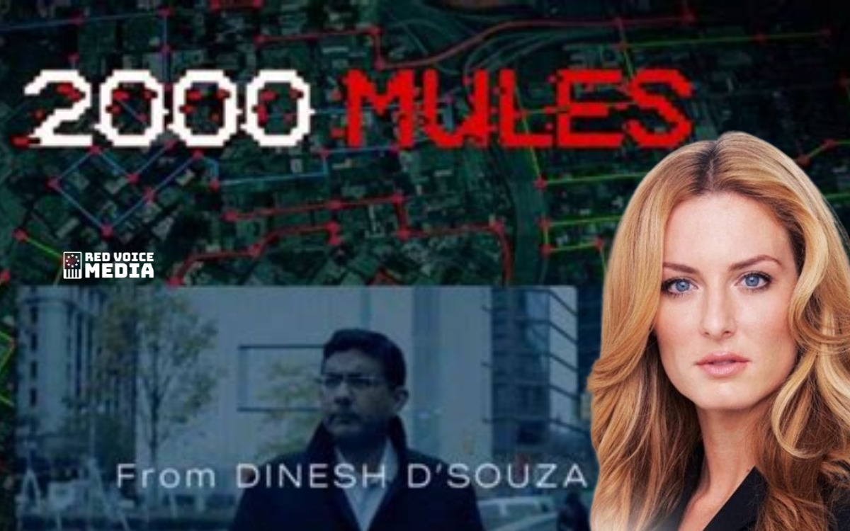 Exposed: The Real Reasons Behind Media Blackout Of Dinesh D'Souza’s 2000 Mules - Emerald Robinson [VIDEO]