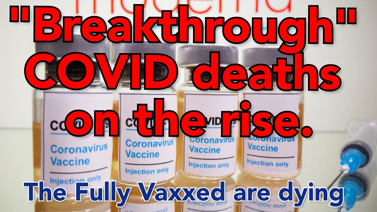 Fully Vaxxed