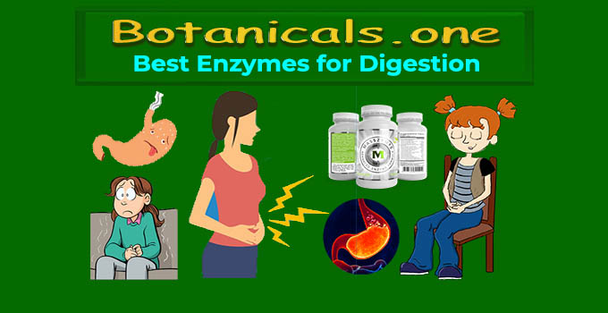 #1 Best Enzymes for Digestion - Top Rated Enzymes Supplement