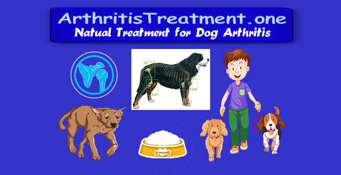 Treatment for Arthritis in Dogs - Arthritis Treatment