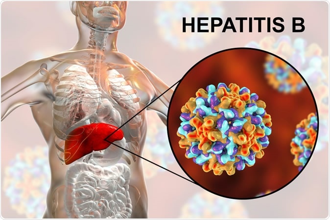 Numerous documents show where the growth of hepatitis comes from around the world – World-Signals News
