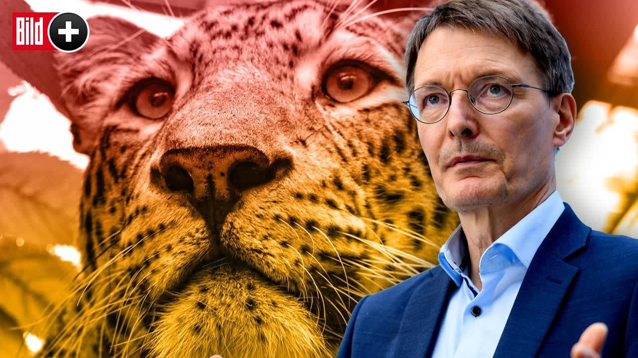 The Minister of Health revealed what the next pandemic will be – World-Signals News