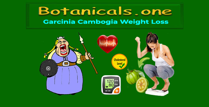 Pure Garcinia Cambogia Extract - Botanicals One