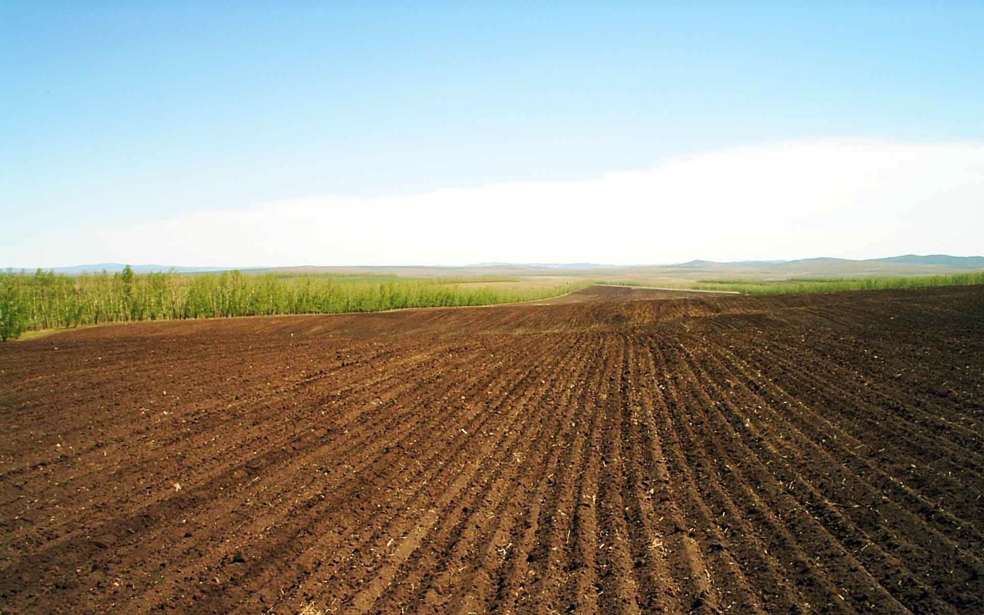 Another country warns of expected famine, farmers are leaving the fields – World-Signals News