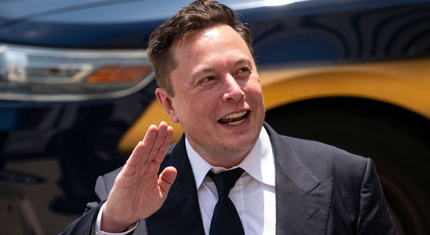 Elon Musk to Fire 1000 'Woke' Twitter Staff in Major Shakeup, Leaked Plan Shows | Neon Nettle