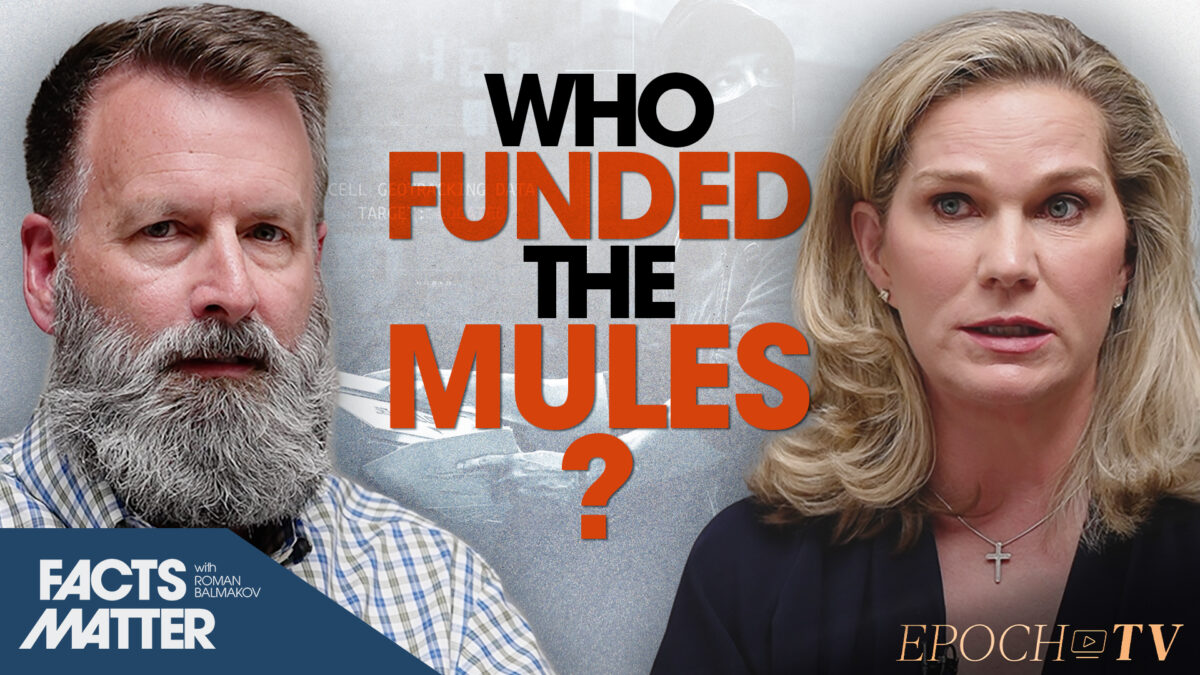 Ballot Mules Funded by Obama-Linked NGOs Who Poured Billions Into ‘Local Insurgencies’: Analyst