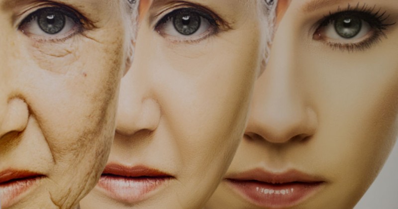 New Research Shows “Harvesting Blood & Body Parts of the Young” Could Help Achieve “Immortality” – Summit News