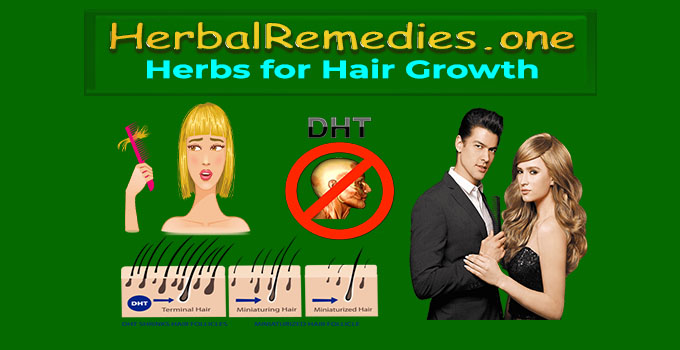 #1 Best Herbs for Hair Growth - Prevent Hair Loss & Fallout