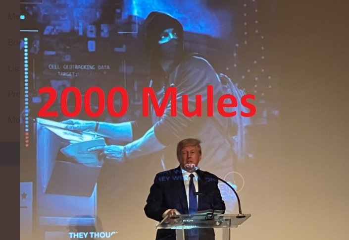 HUNDREDS of Patriots Attend Screening of 