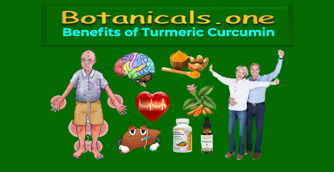 #1 Turmeric Curcumin Extract - Best Natural AntiInflammatory