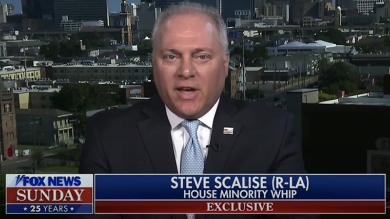 Rep. Steve Scalise: Red Flag Gun Laws Are ‘Unconstitutional’