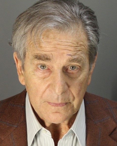Napa County authorities release Paul Pelosi mugshot weeks after DUI arrest | Fox News