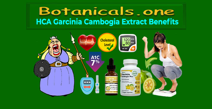 Best Pure Extract Garcinia - #1 HCA Garcinia Cambogia PIlls