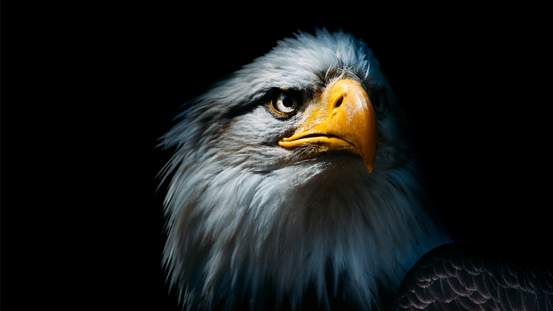 America Destroyed By Design: It’s Happening, As We Said Years Ago, But Hope Is Here
