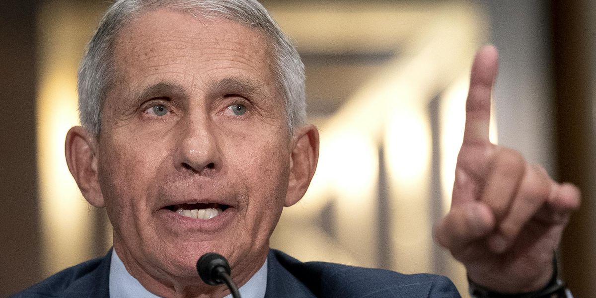 Dr. Fauci says he will step down in 2024 no matter who is elected to the White House - TheBlaze