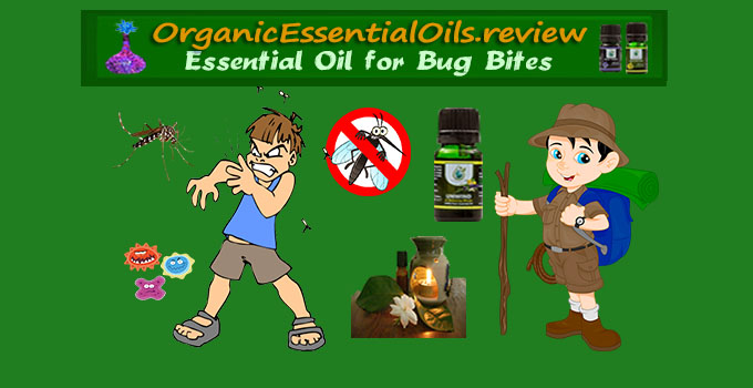 Essential Oils for Bug Bites - Organic Essential Oils