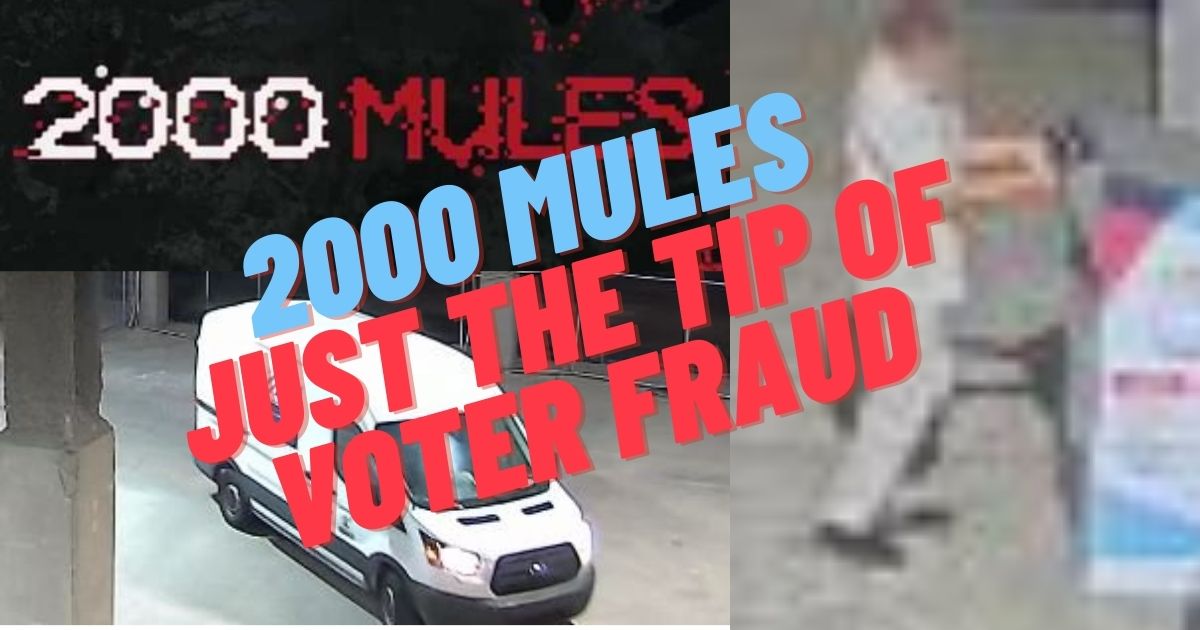 2000 Mules Just 