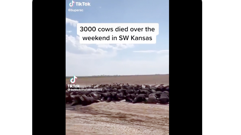 Public Not Buying Claim Thousands of Cattle Dying From “Climate Change”