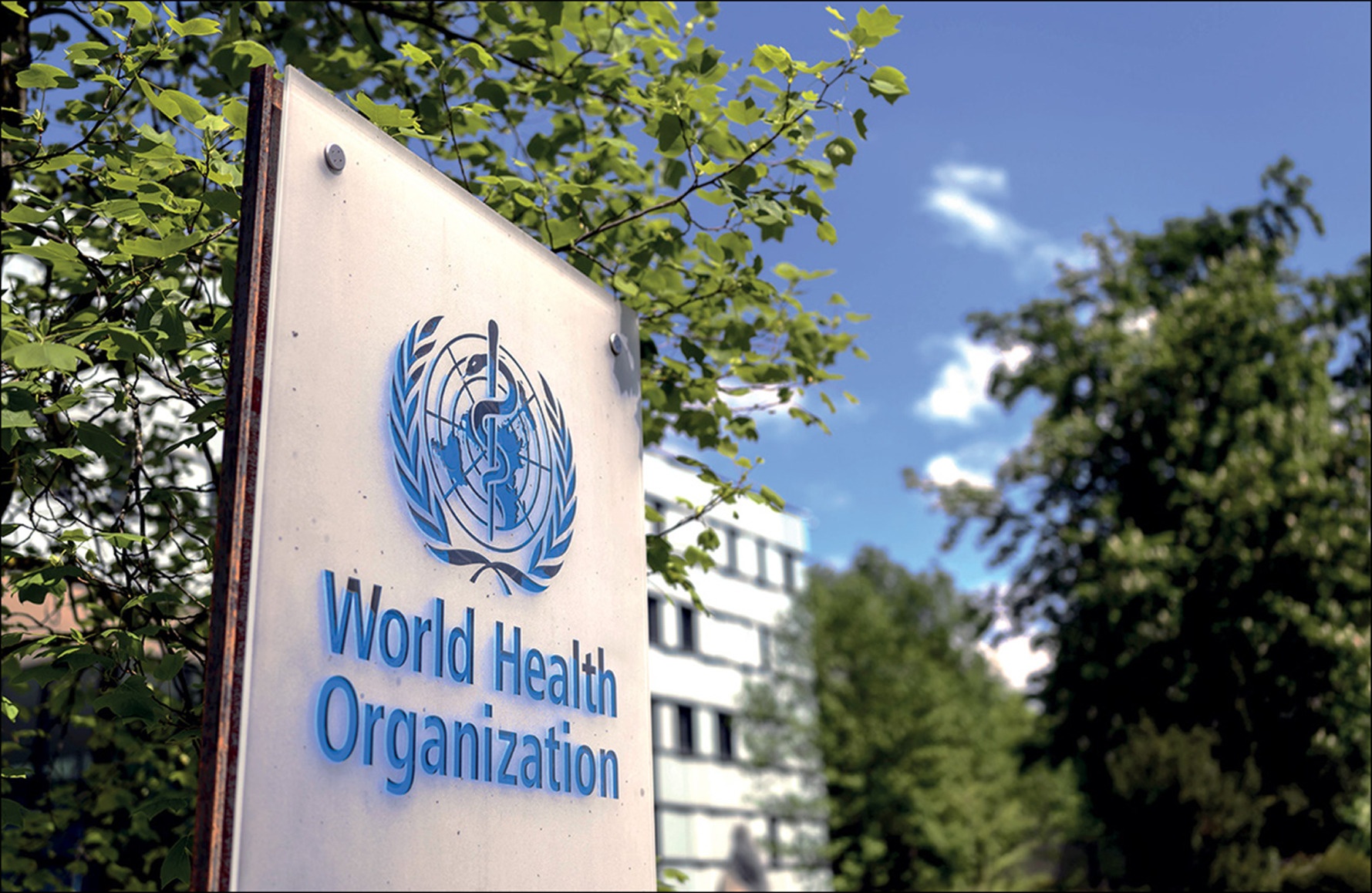 The WHO has been preparing the world for the spread of monkeypox since the summer – World-Signals News