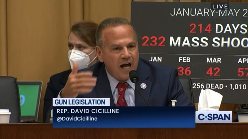 Video: Dem Rep. Yells “Spare Me The Bullshit About Constitutional Rights” During Gun Debate