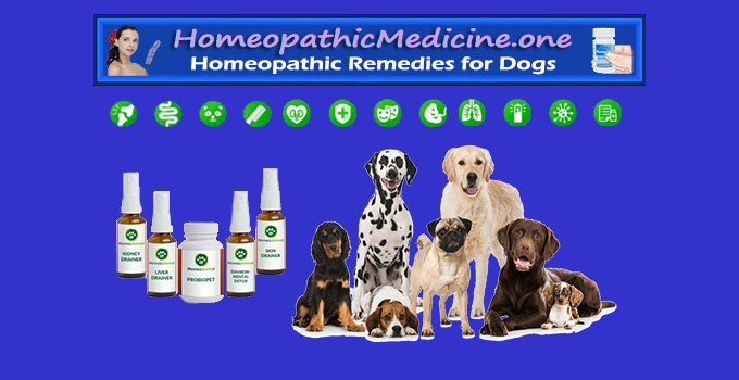 Best Homeopathic Treatment for Dogs -#1 Cat Dog Homeopathy