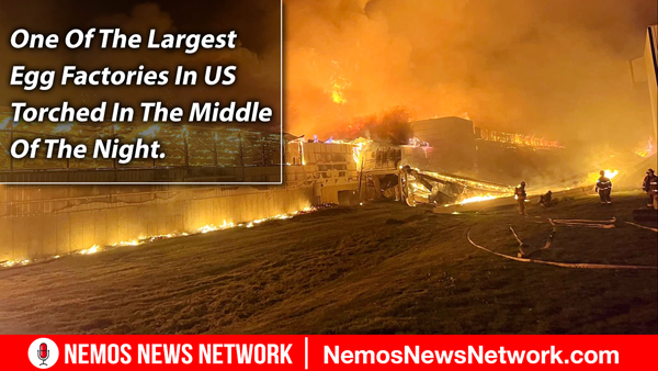 Silent War Ep. 6219: Food Supply Attacks and WW3 Eminent. - Nemos News Network