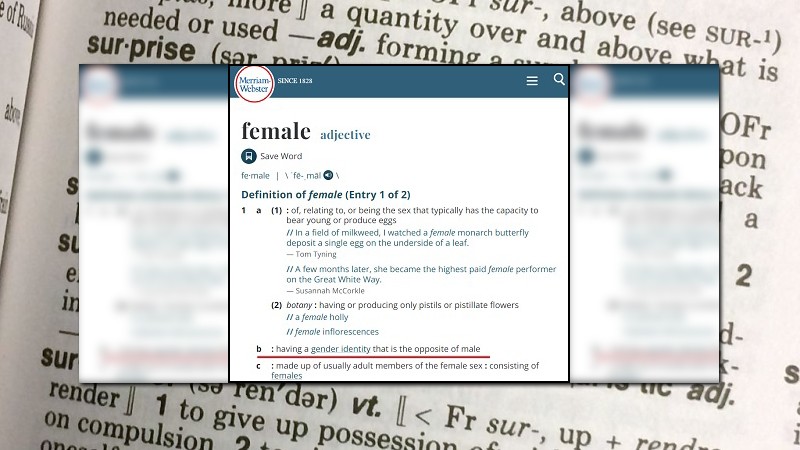 Merriam-Webster Changes Definition of âFemaleâ at the Behest of Transgender Activists – NewsWars