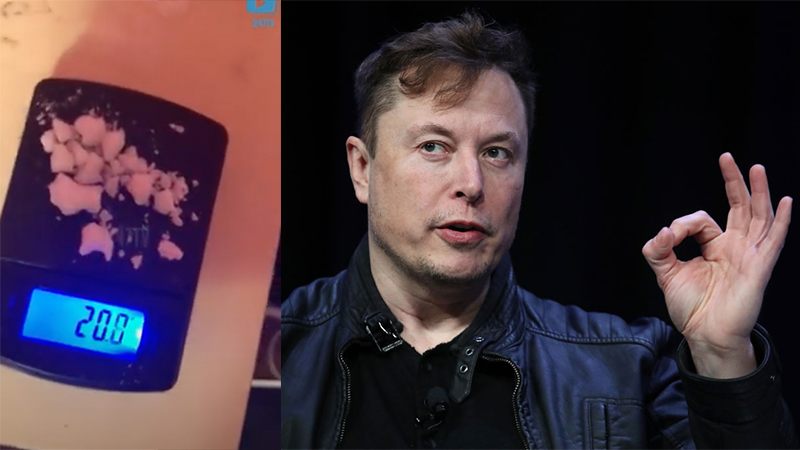 Hilarious: Elon Musk Owns MSNBC Host After She Took Issue With Him Tweeting A Hunter Biden Meme