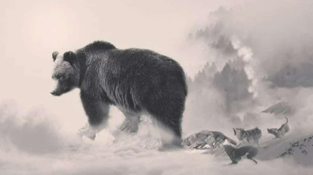 GOD SPEAKS TO... THE BEAR... of RUSSIA....