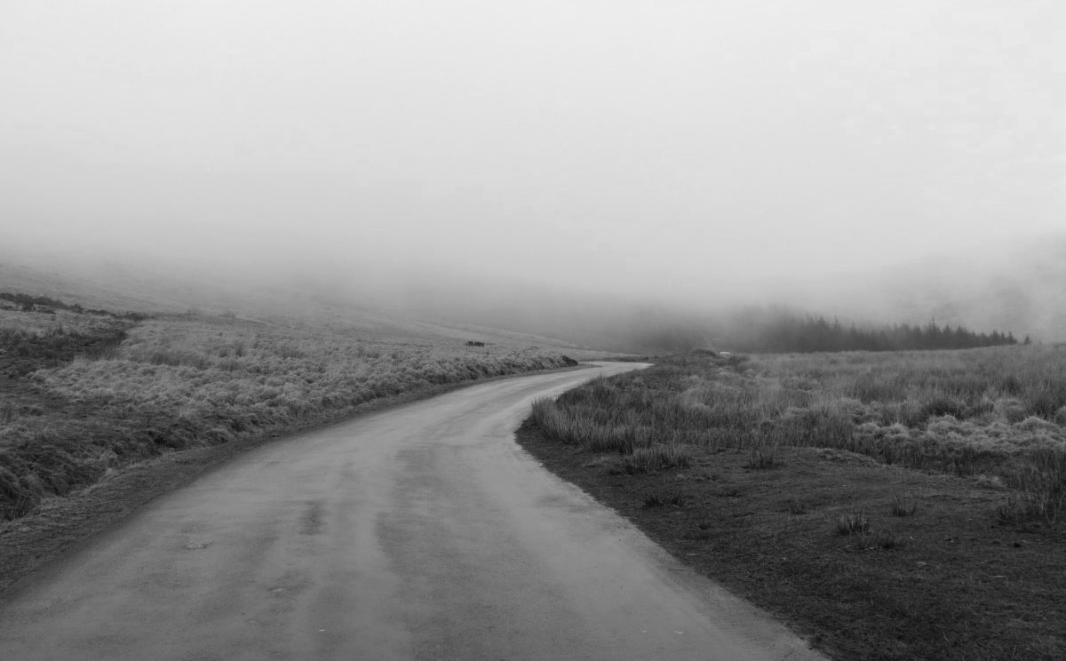Feeling Out the Hairy Hands of Dartmoor