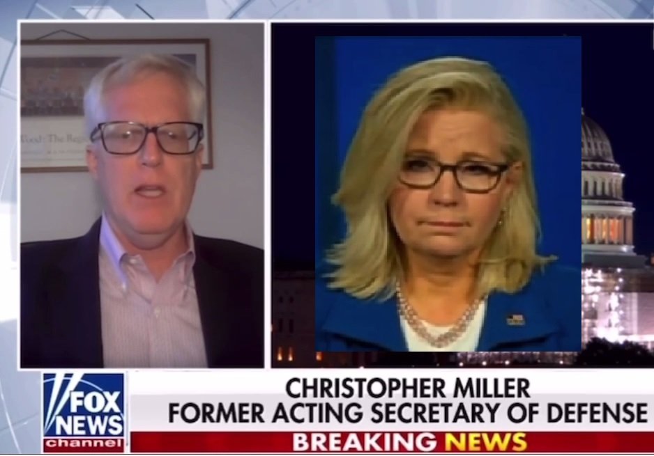 VIDEO: Dirty Liz Cheney Gets Caught OPENLY LYING About Trump's Request for 20,000 National Guard on January 6th