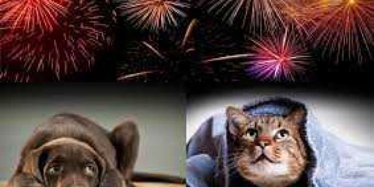 July 4th Party Ideas - Keep Your Pets Safe
