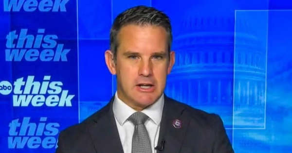 Adam Kinzinger: Jan. 6 hearings moved 'hardcore' Trump supporters who 'now just can't stand him'