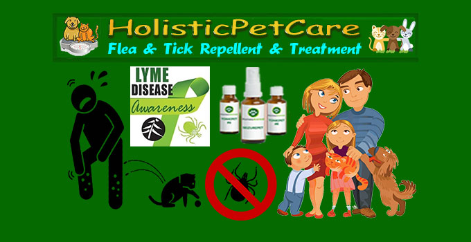 Best Natural Flea and Tick Repellent - #1 Flea Tick Formula