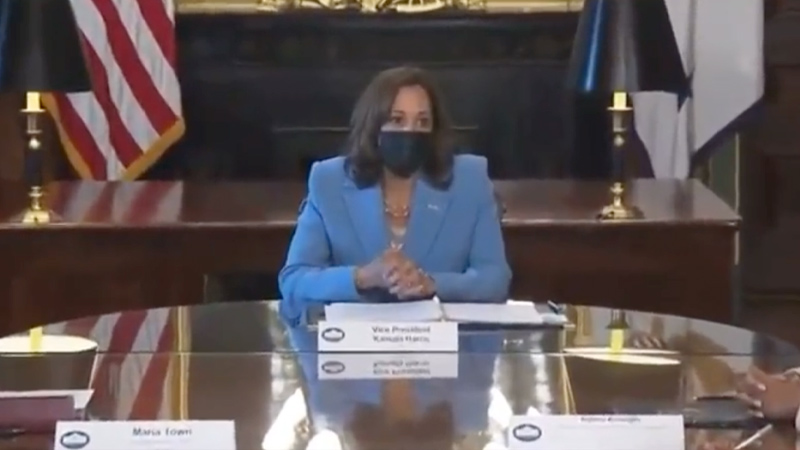 Watch: Kamala’s ‘Pronouns Are She and Her,’ She ‘Is a Woman Sitting at the Table Wearing a Blue Suit’