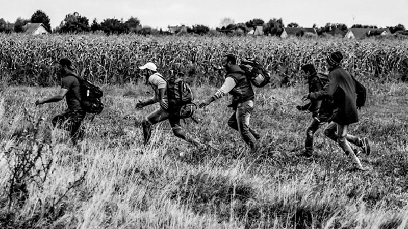 GOP Senator Warns Biden Admin ‘Trying To Accelerate’ Illegal Immigration With New Online Asylum System