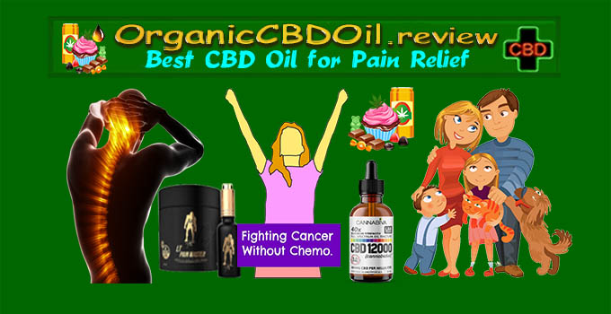 Best CBD Oil for Pain - Organic CBD Oil