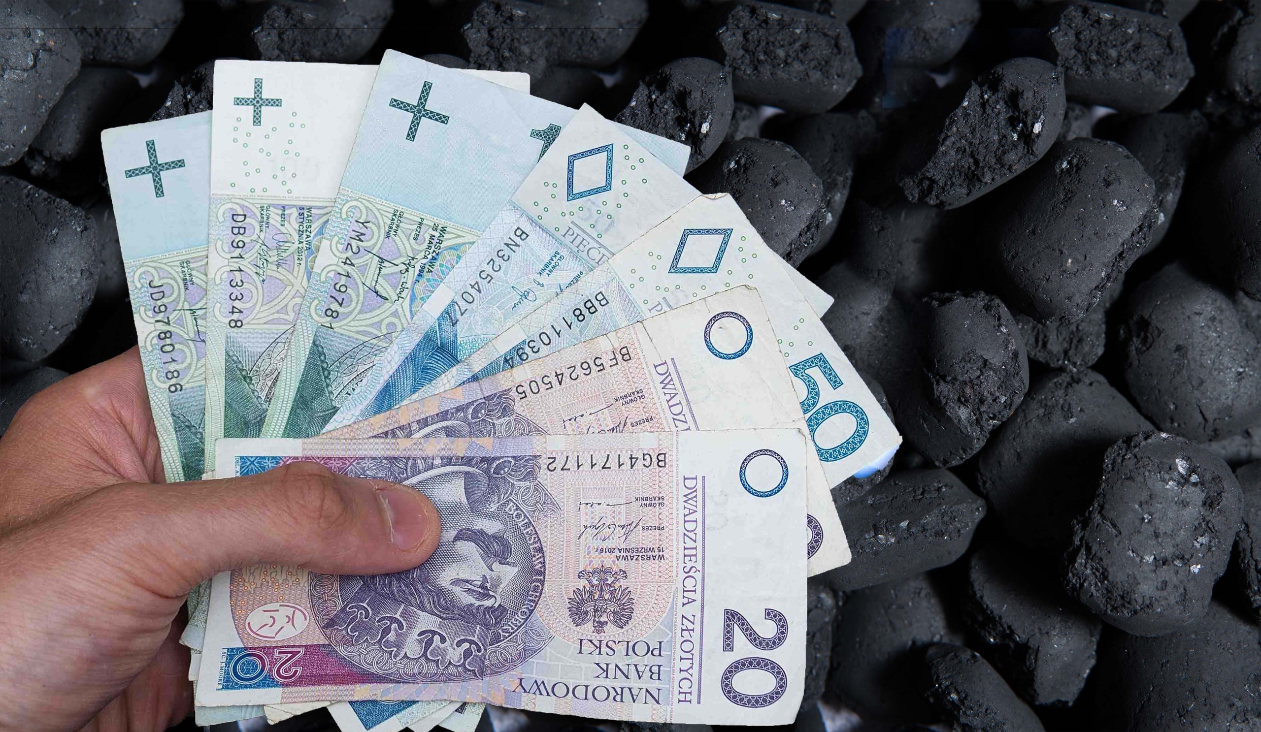 'I never thought I'd see this again' – People in Poland sleeping in cars while waiting in line to buy coal for winter