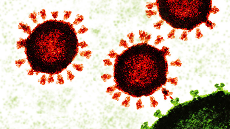 Covid Jab Cover-Up: CDC Quietly Removes Sentence Claiming ‘mRNA & Spike Protein’ Don’t Last Long In Body
