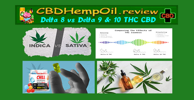 Delta 8 Vs 9 Vs 10 - Best Delta 9 THC Vs Delta 8 THC Effects